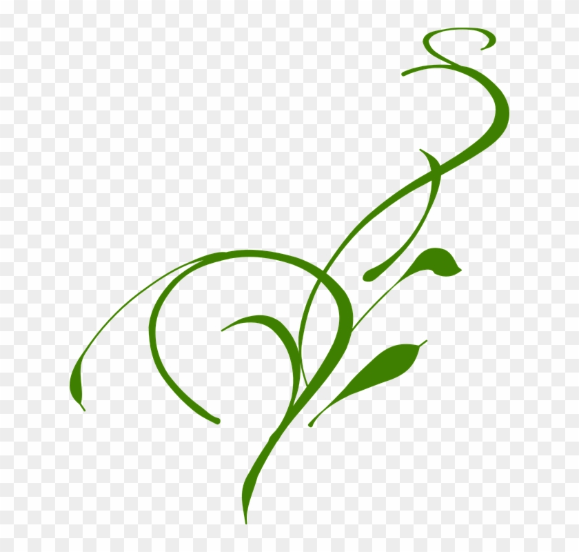 Vines Clipart Greenery - Vine Clip Art - Png Download