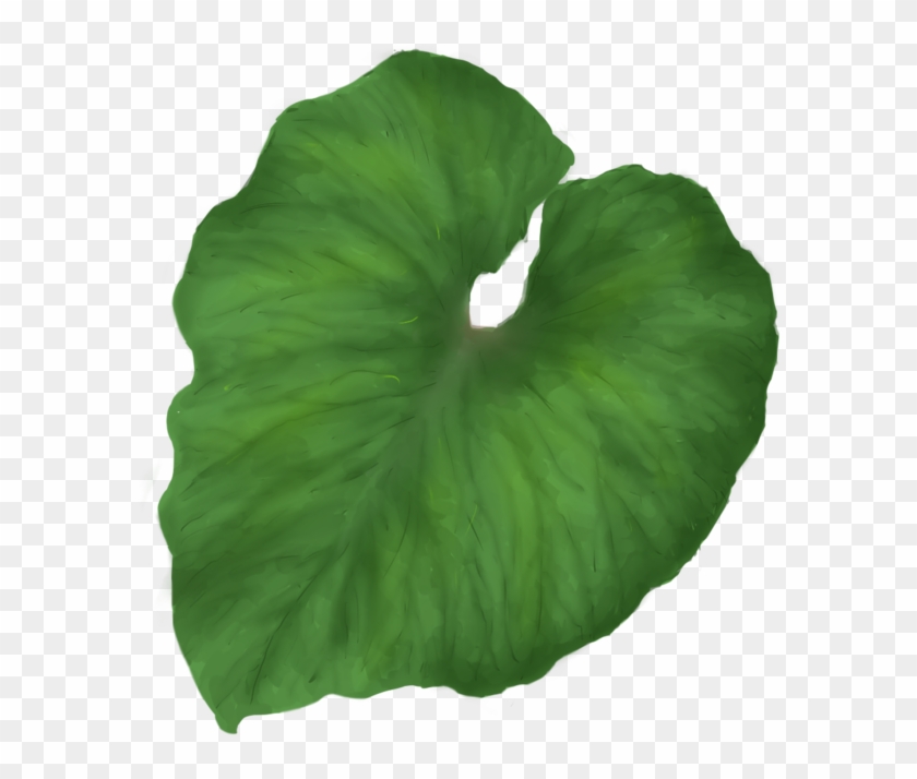 Green Leaf Png - Single Leaf Png Clipart