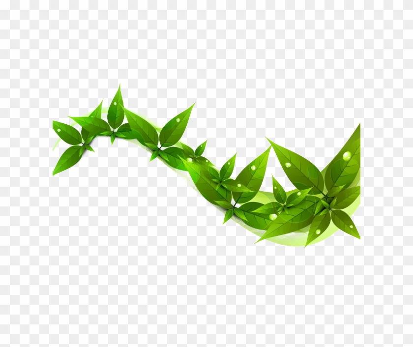 1/2 The Cost Of Other Organic Oral Care Products With - Hair Loss Clipart