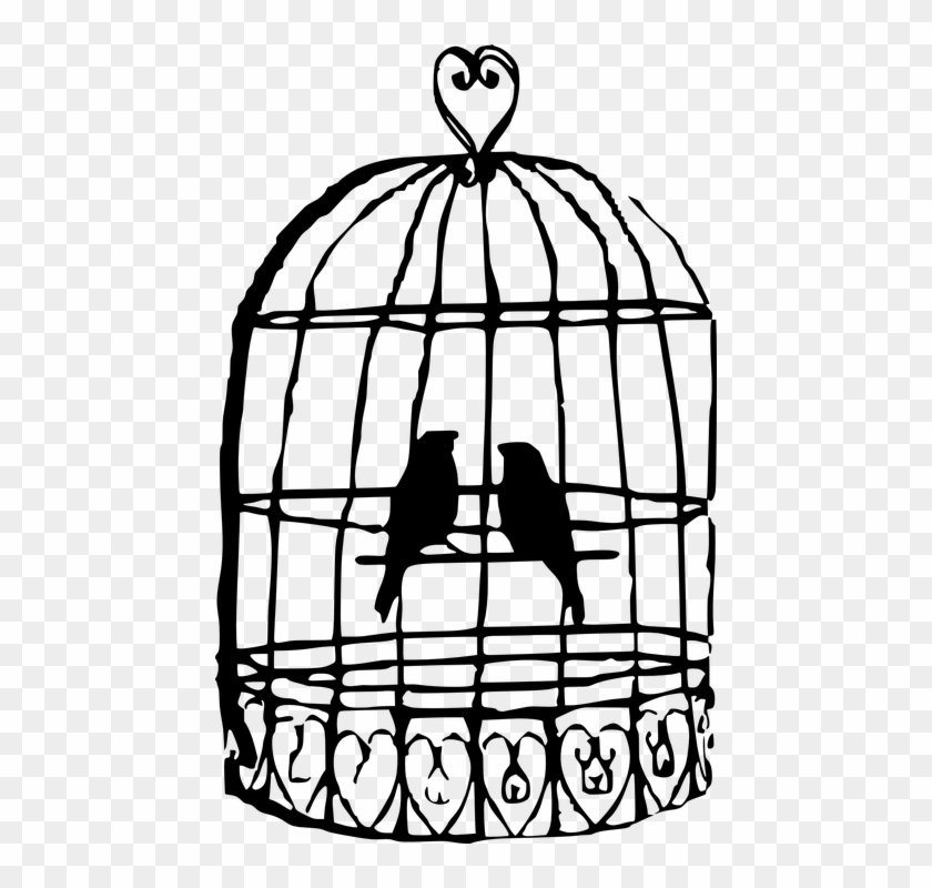 Bird In A Cage Drawing Clipart #75448