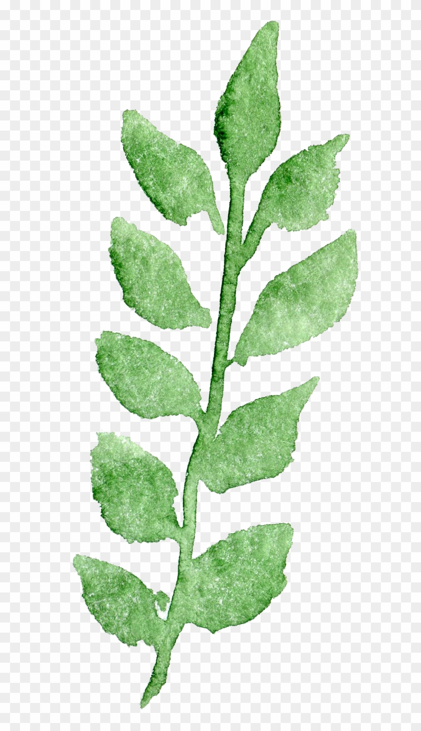 Transparent Watercolor Watercolor Painting Transparency - Watercolor Leaf Transparent Background Clipart