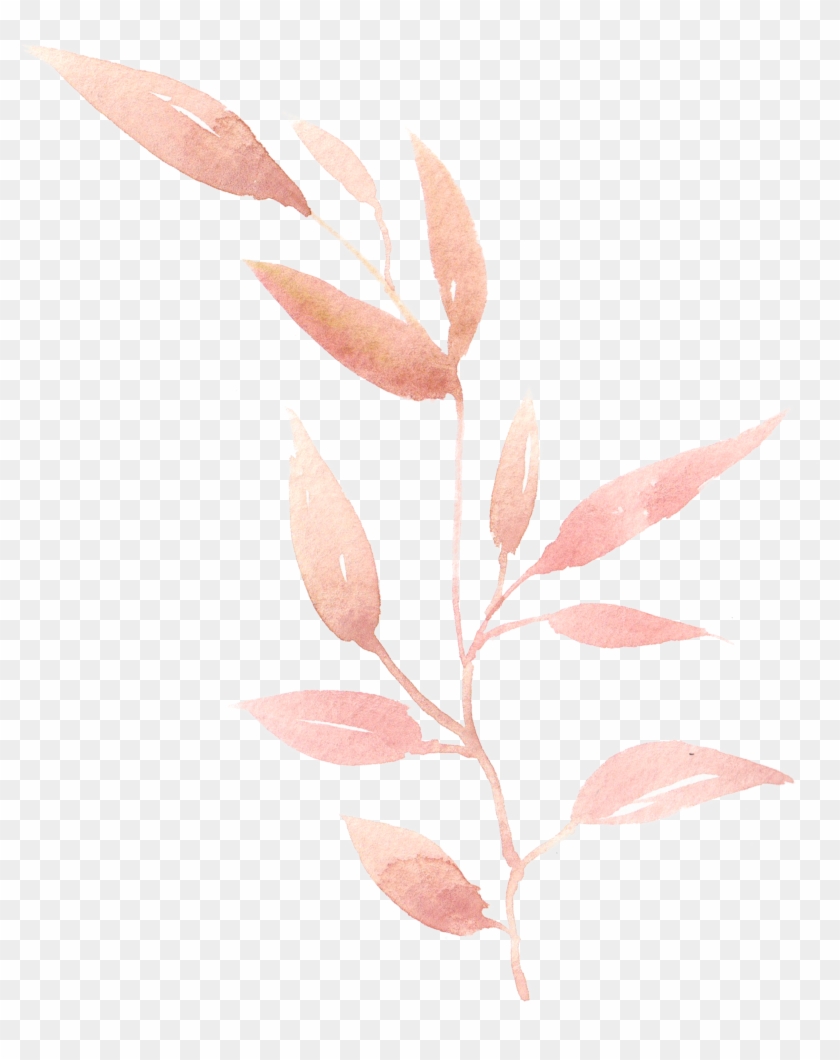 0℃素材28 Watercolor Leaves, Watercolor Art, Clip Art, - Brown Watercolour Leaves Png Transparent Png