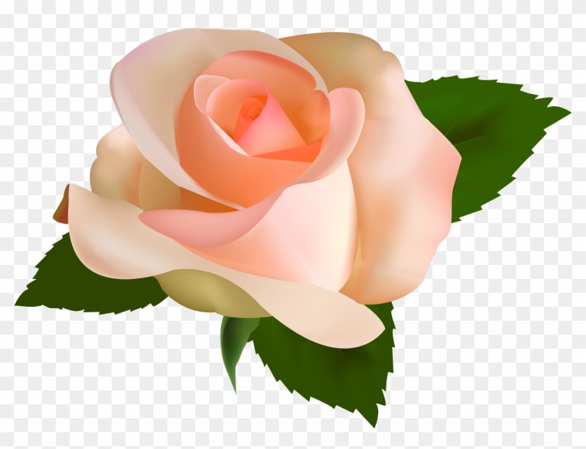 Peach Flower Clipart Greenery - Peach Rose Clip Art - Png Download