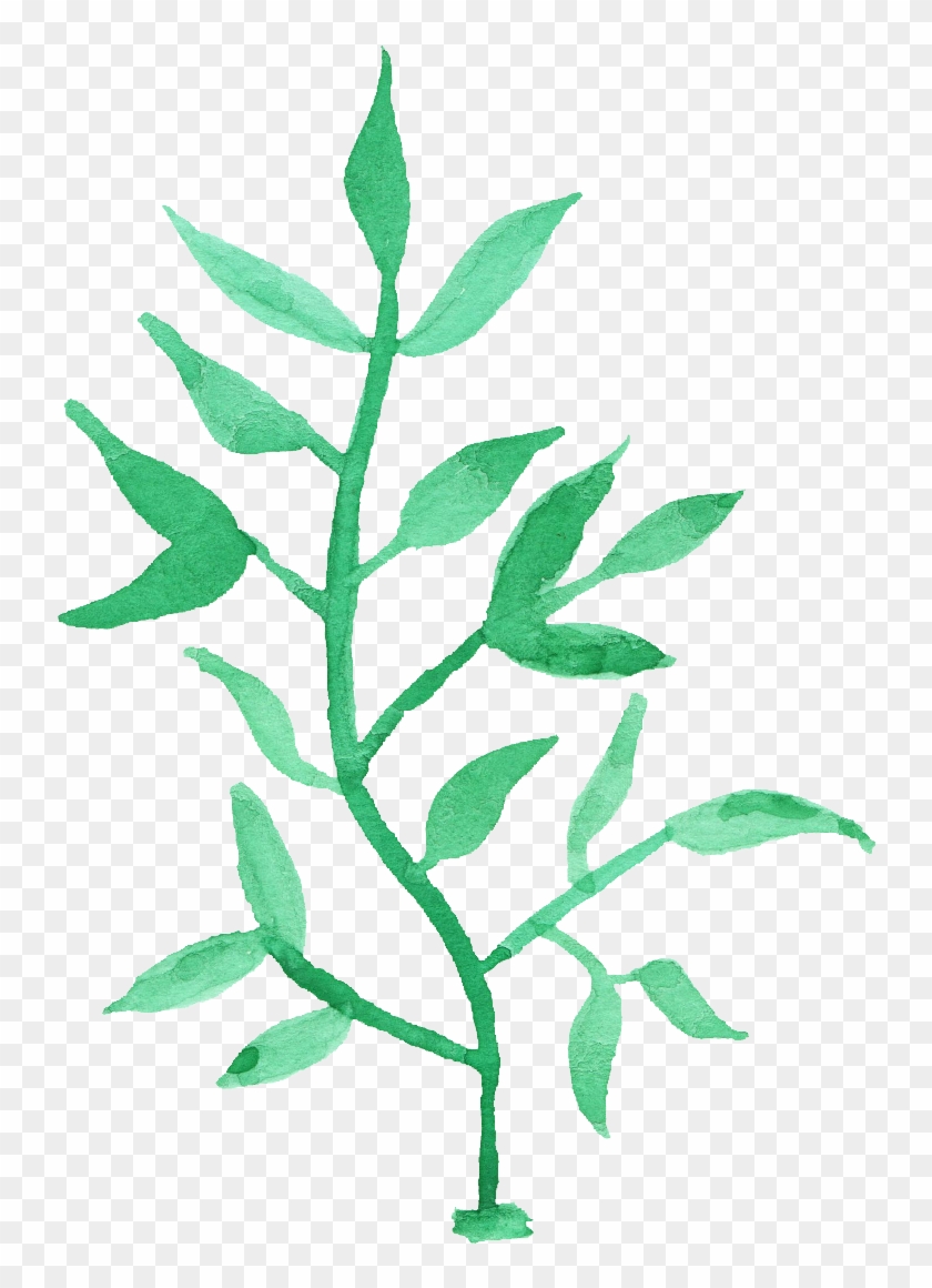 Free Download - Watercolor Painting Clipart