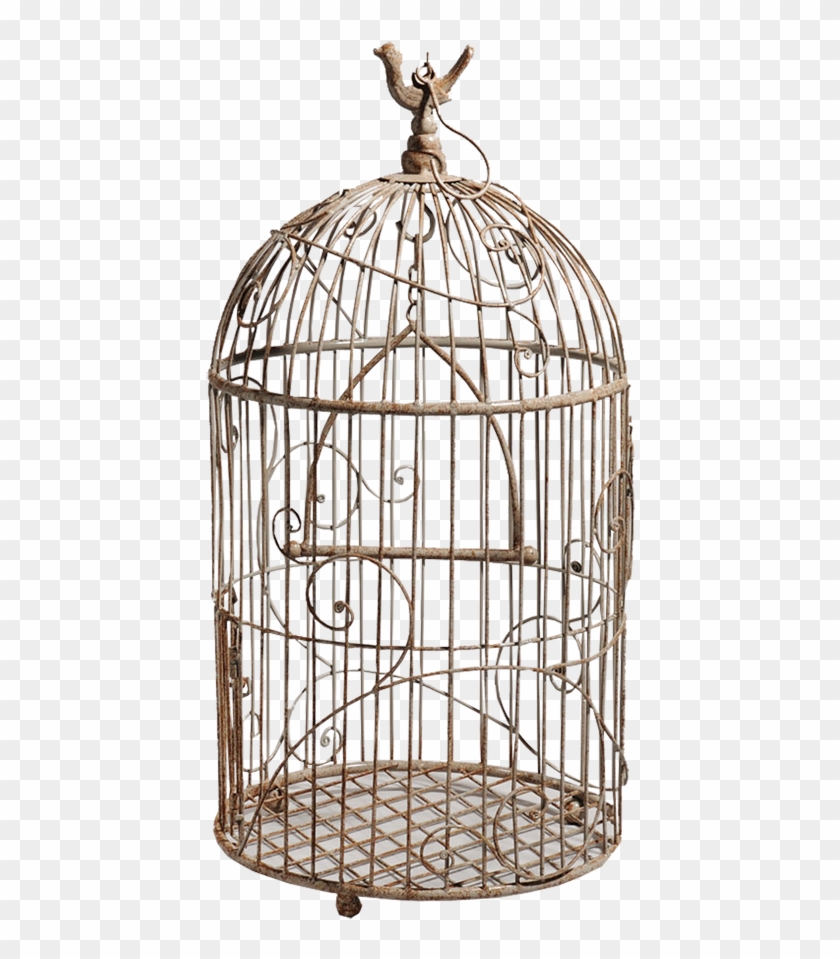Птичья Клетка Png Clipart (#75781) - PikPng