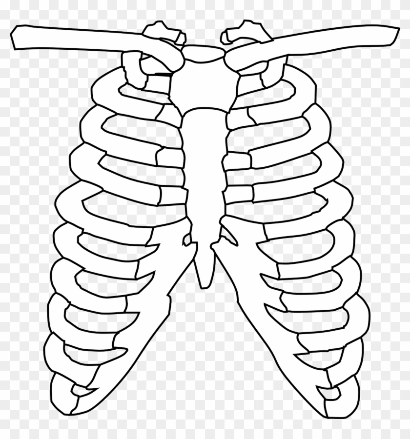 Cage Png Clipart #75929