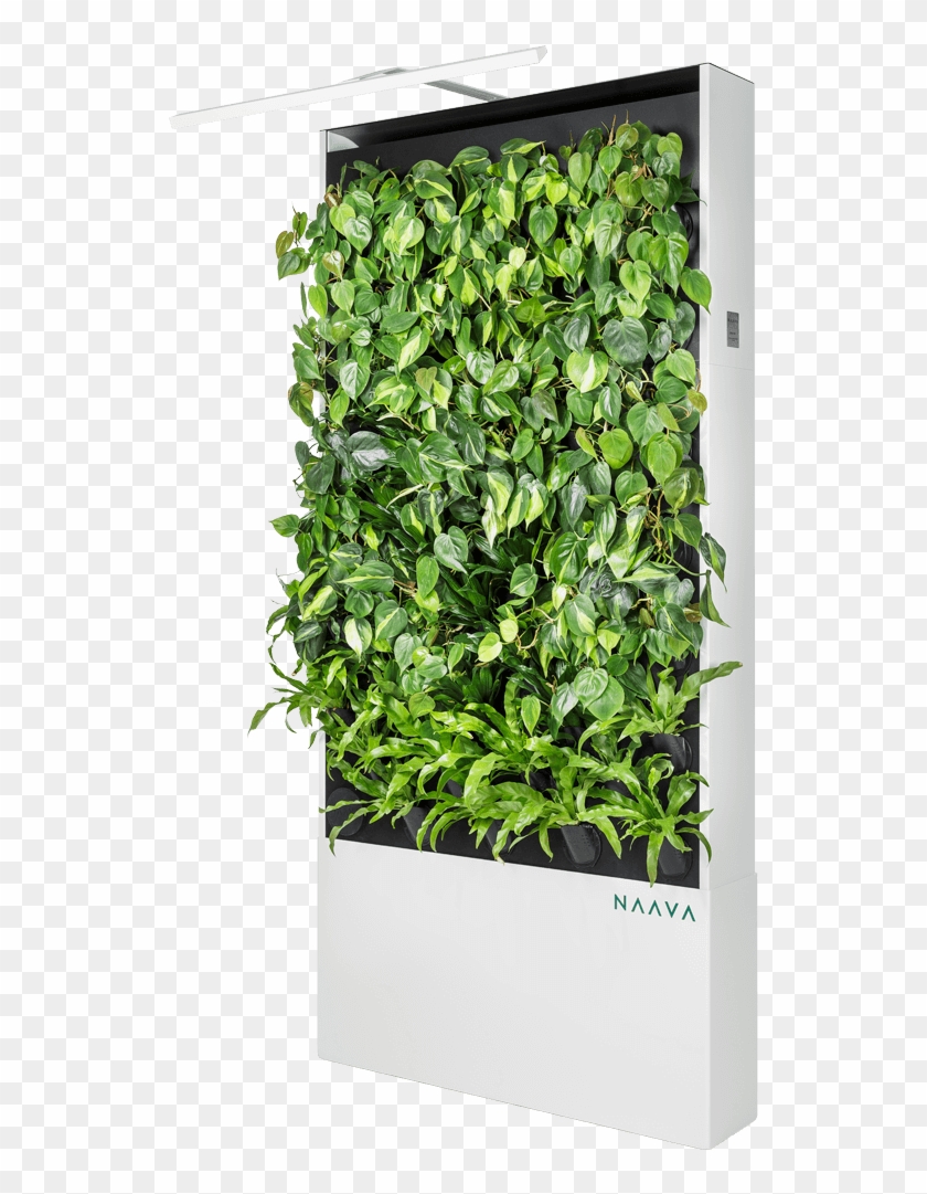 Naava One Slim White - Naava Green Wall Clipart