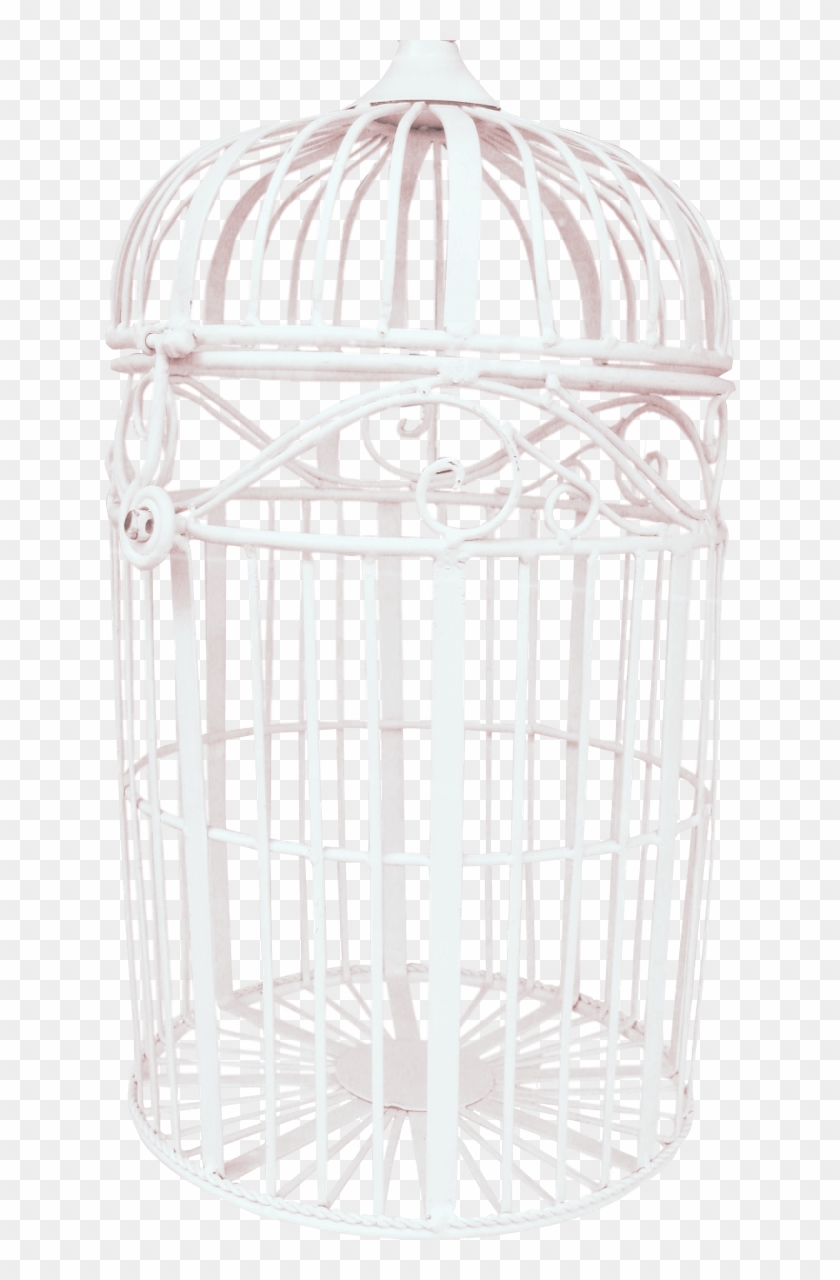 Bird Cage - Birdcage White Png Clipart #76068