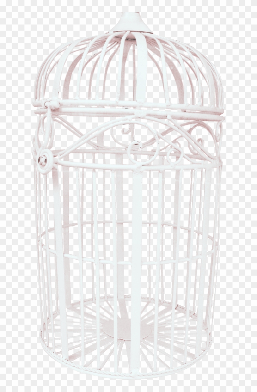 Bird Cage - Birdcage White Png Clipart
