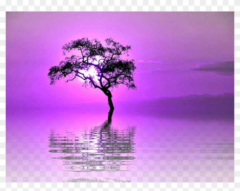 Laminated Poster Lake Lone Tree Isolated Png Tree Mirroring - Arbol Reflejo Clipart