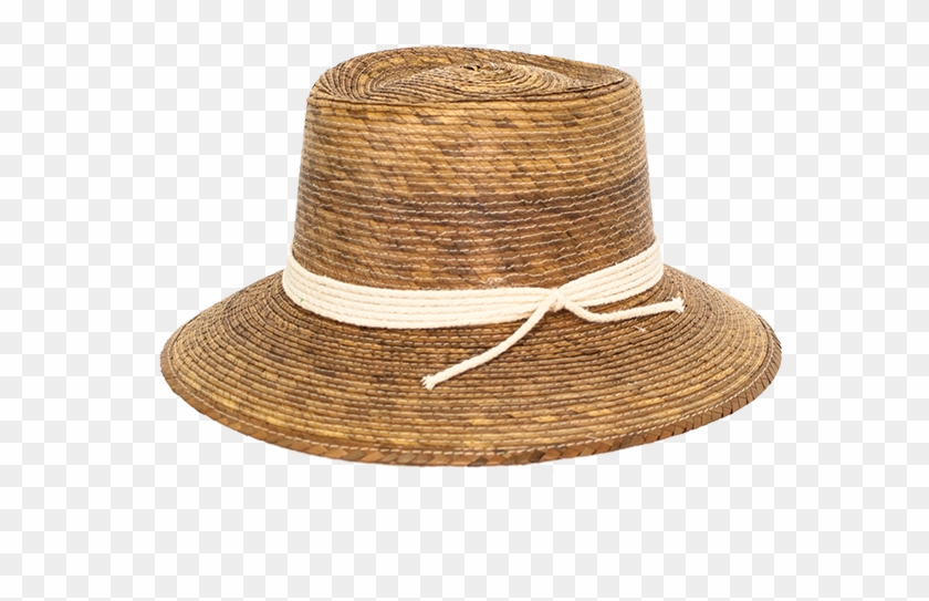 Peter Grimm Bonaire Palm Women S Sun - Fedora Clipart