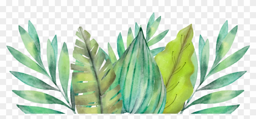 Leaf Amazon Rainforest Watercolor Painting Arecaceae - Motivational Quote Clipart