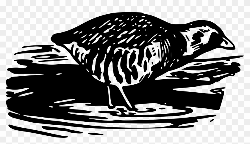 This Free Icons Png Design Of Sora Rail 2 Clipart