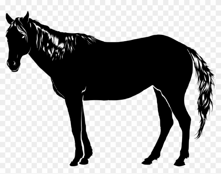 Download Png - 말 그림자 Clipart