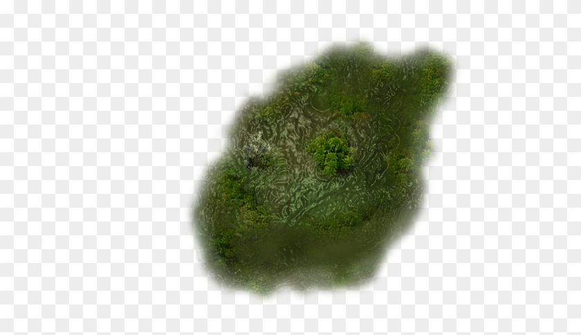 193k Moss 06 Feb 2009 - Swamp Dundjinni Clipart