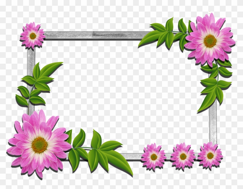 Psd Flower Frames Free Download Clipart