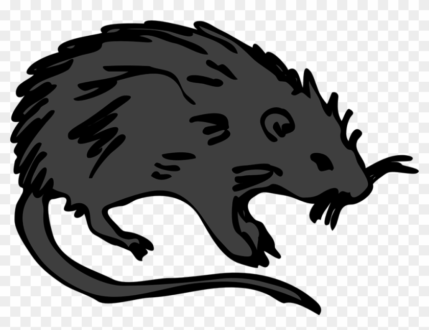 The Black Death Png - Black Death Rats Cartoon Clipart #78664