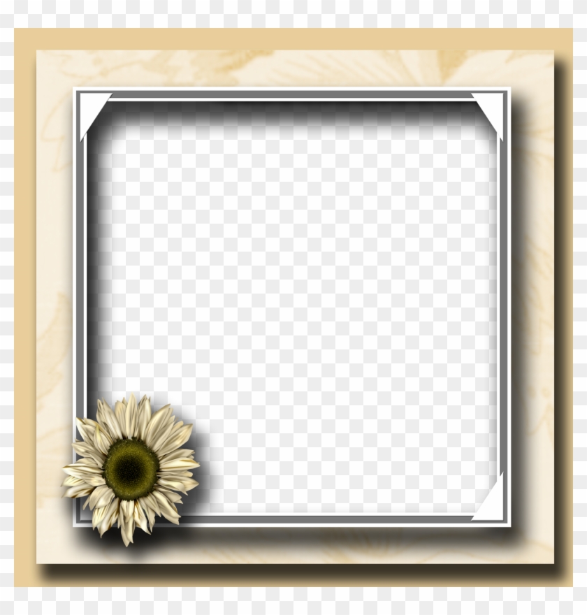 Flower Photo Frame Png - Flower Photo Frame Clipart #79406