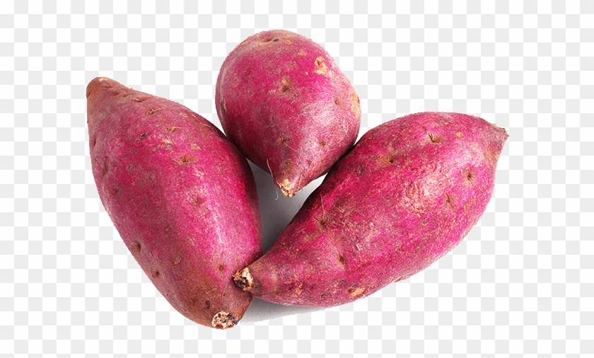 Purple Yam Clipart