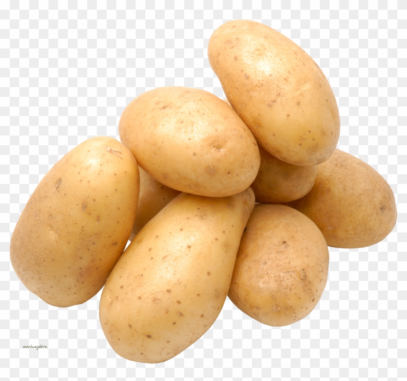 Potato Png Images - Ap Calc Potato Meme Clipart