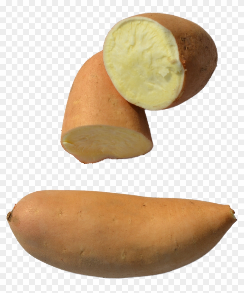 Sweet - Russet Burbank Potato Clipart
