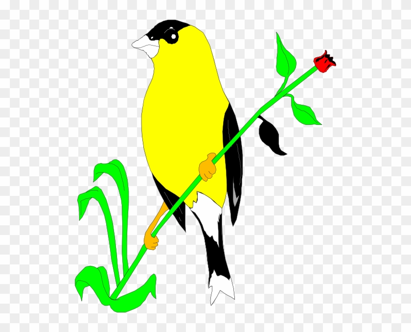 Download How To Set Use Goldfinch On A Flower Stem Svg Vector Clipart 703919 Pikpng