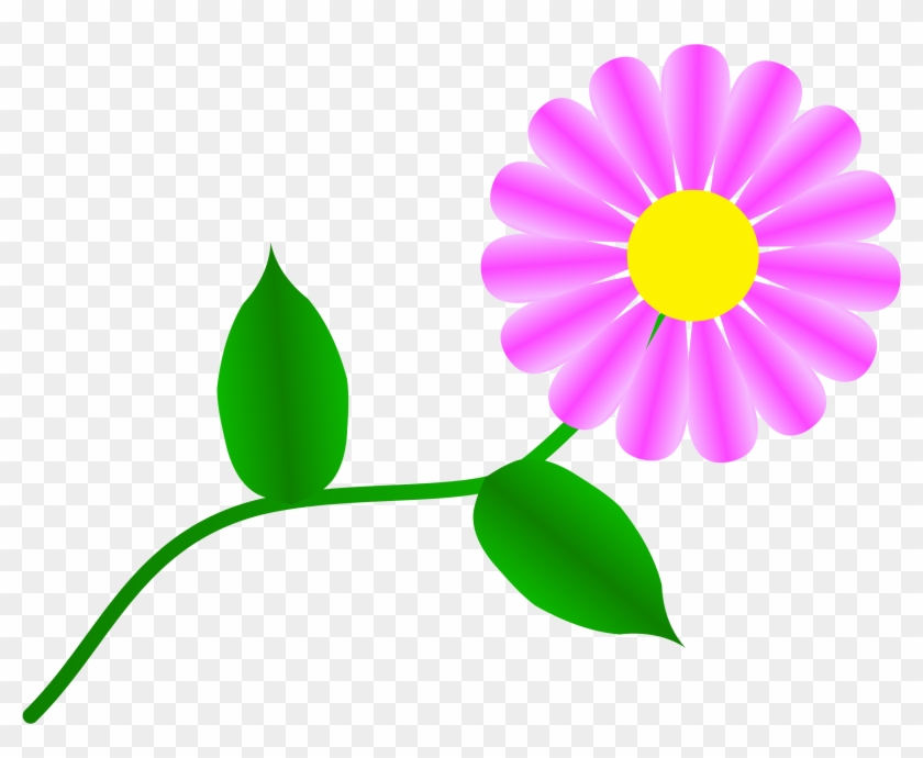 900 X 720 6 - Single Flower Images Clip Art - Png Download