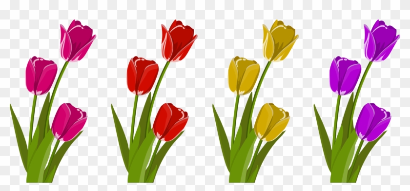 Tulip Cut Flowers Petal Plant Stem - Tulips Svg Clipart