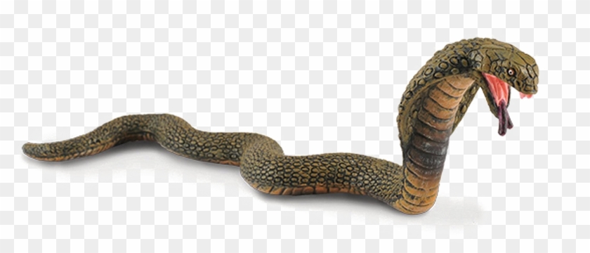 King Cobra Png Image - Collecta King Cobra Clipart