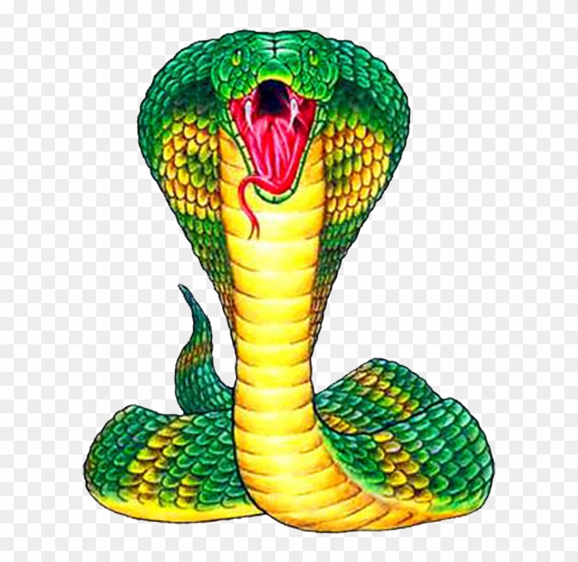Cobra Snake Art Clipart