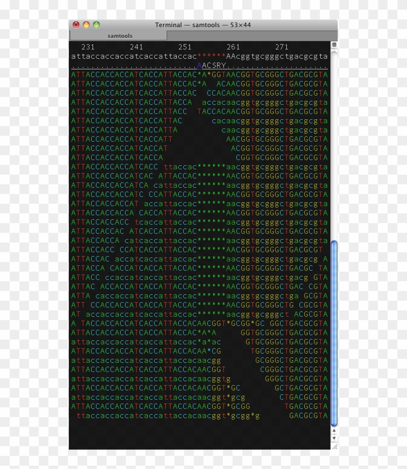 Enter Image Description Here - Samtools Tview Clipart