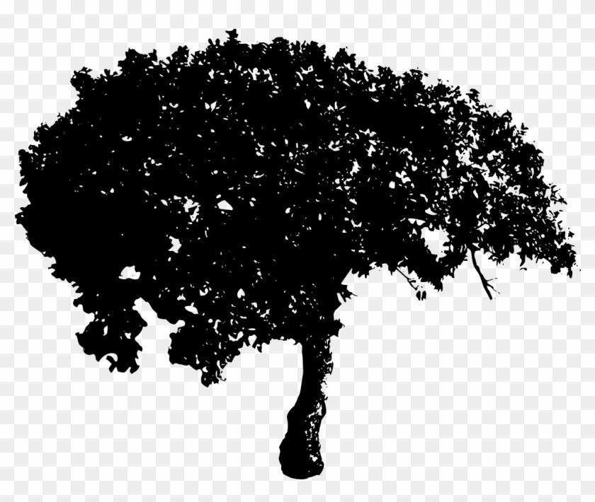 Free Download - Hd Free Download Tree Png Clipart