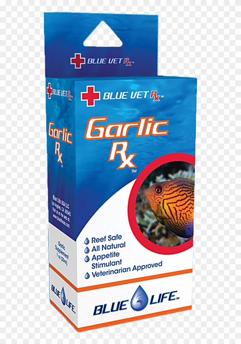 Blue Life Usa Garlic Rx - Stony Coral Clipart
