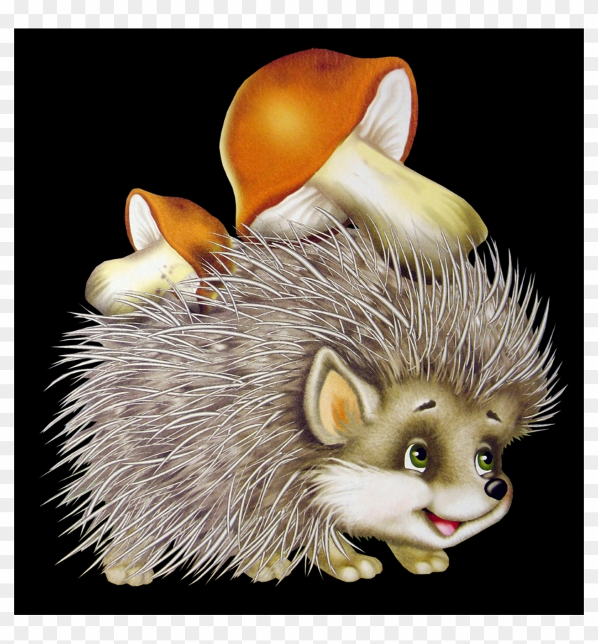 Complete Animal Free Png Collection, Free Pngs Has - Autumn Hedgehog Clipart Transparent Png #710612