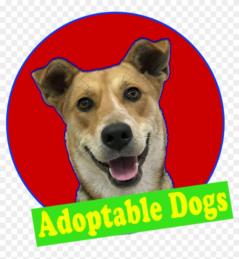 Dog Yawns Clipart #711989