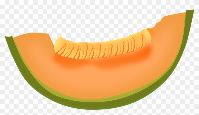 Cantaloupe, Melon, Fruit, Food, Fresh, Healthy, Sweet - Cantaloupe Clipart - Png Download #712988