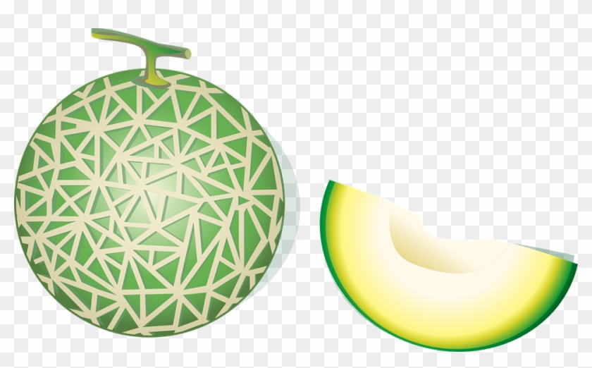 Melon Vector Png - Melon Clipart