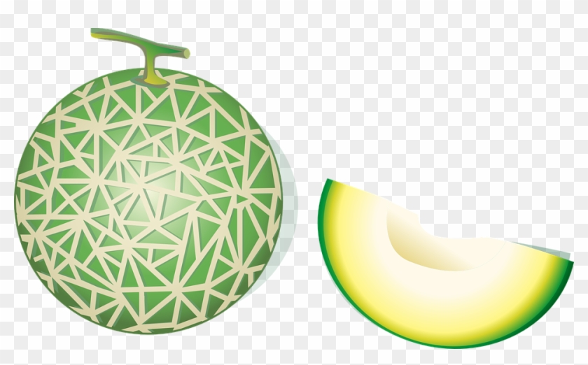 Melon Vector Png - Melon Clipart #713156