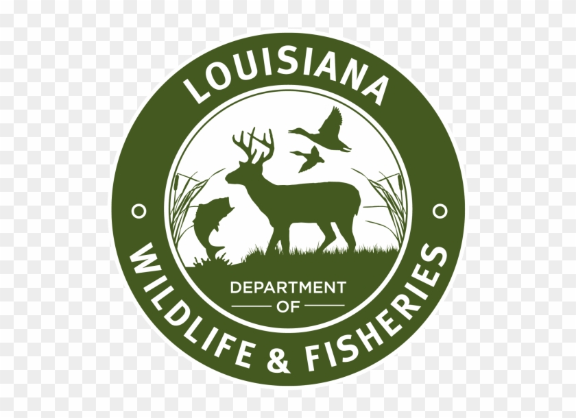 First Saturday Family Program - Louisiana Department Of Wildlife And Fisheries Clipart