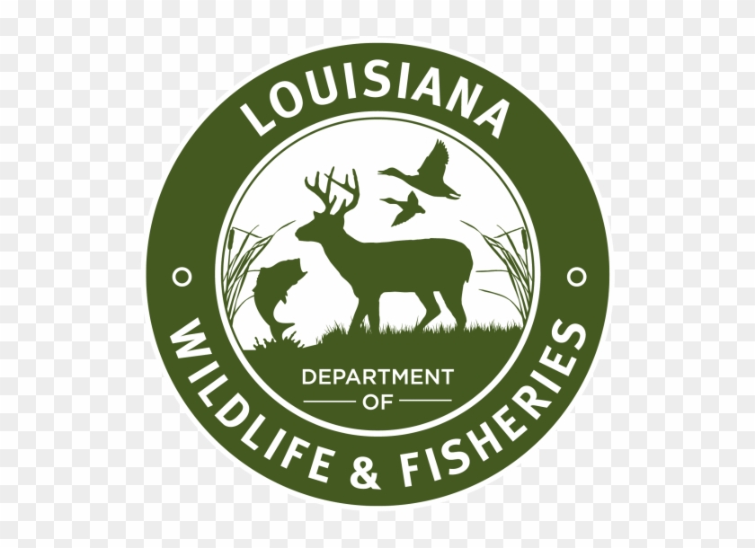 First Saturday Family Program - Louisiana Department Of Wildlife And Fisheries Clipart #714039