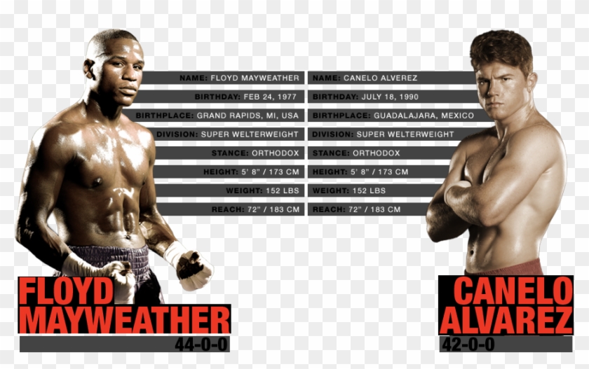 Named Whilst The One Battle, The Floyd Mayweather Versus - Floyd Mayweather Vs Canelo Alvarez Stats Clipart