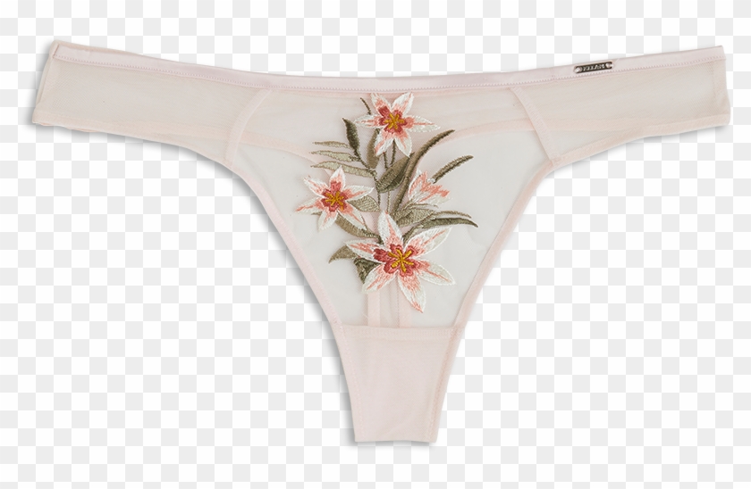 Thong Low With Embroidery Pink - Thong Clipart