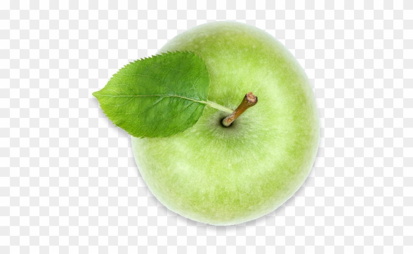 Green Apple, Americas Breakroom - Granny Smith Clipart #716866