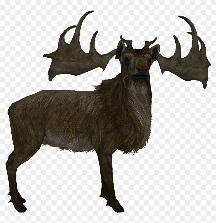 Elk - Skyrim Deer Png Clipart #717504