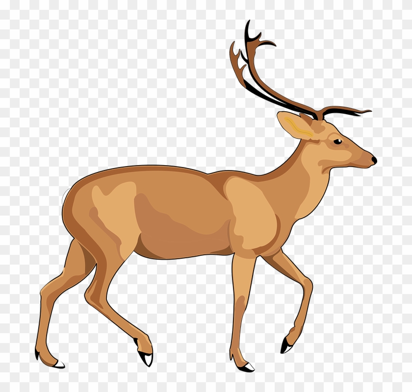 Reindeer Vector Transparent Clipart