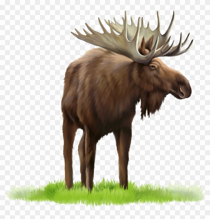 Download Elk Png Images Background - Stock Photography Clipart #717670