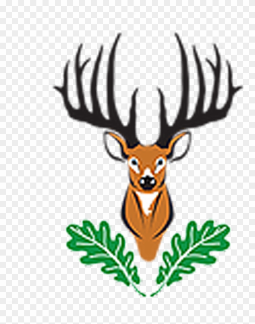 Png Transparent Stock About Oak Ridge Whitetail Adventure - Elk Clipart #717769