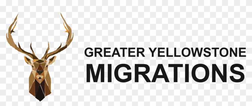 Elk Logo Clipart #718226