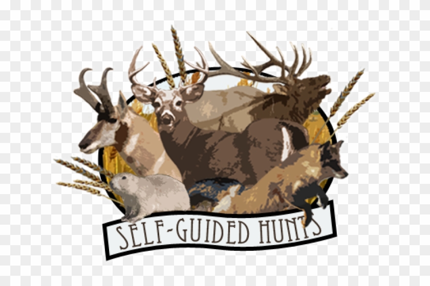 Deer And Hunting Logo Png Clipart@pikpng.com