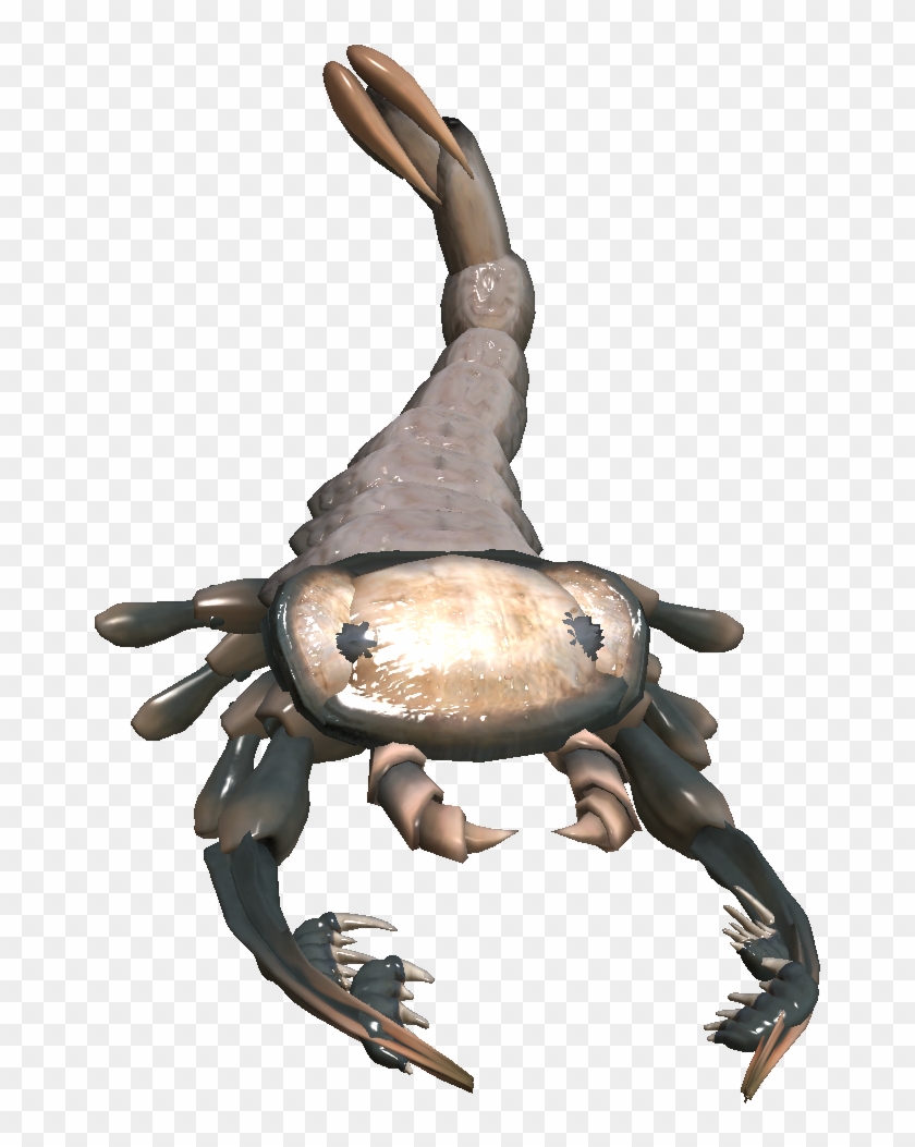 Http - //vignette2 - Wikia - Nocookie - - Cancer Clipart